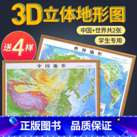 [80*60cm]中国+世界共2张(金色云纹边框) [正版]北斗2024年地图世界和中国地图 3d立体凹凸地形图 约58