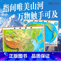 [1.35*1米]中国+世界 [正版]2025年中国地图和世界地图 约80*60cm凹凸地形图 3d立体浮雕地图挂图 初