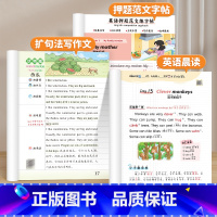 [1-2年级]英语晨读+扩句法写作文+押题范文字帖 小学通用 [正版]小学英语每日晨读美文人教版一二三年级四五六年级上册