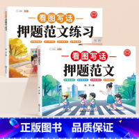 [学练结合]看图写话押题范文+练习 [正版]看图写话一二年级小学生押题范文看图说话写话提升训练看图写话一升二年级幼小衔接