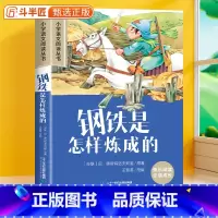 钢铁是怎样炼成的[彩图注音版] [正版]28元任选三件钢铁是怎样炼成的彩图注音小学生文学经典书籍小学一年级二年级三四年级