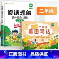 二年级看图写话+阅读理解 小学通用 [正版]斗半匠看图写话一年级二年级上册下册语文阅读理解专项训练一升二人教版小学同步练