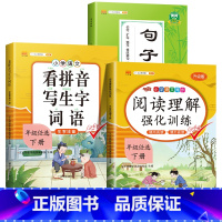 [语文专项]阅读+看拼音+句子 一年级下 [正版]小学语文专项阅读理解训练人教版语文一年级二年级三年级五六四年级上册下册