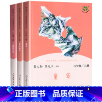 []六年级上册快乐读书吧 [正版]快乐读书吧六年级下册鲁滨逊漂流记汤姆索亚历险记爱丽丝漫游奇境全套人教版原著人民教育