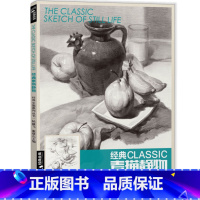 [正版]经典全集经典素描静物杨建飞麦粲杰联考单个单体结构体块临本范本