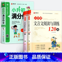 [全3册]小升初满分作文+古诗词+文言文阅读与训练120篇 小学升初中 [正版]小升初满分作文大全人教版 小学生六年级精