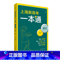 上海 上海新高考一本通 语文 第三版 [正版]上海新高考一本通 语文 第三版 高考一轮复习 上海高考语文考点 真题模拟