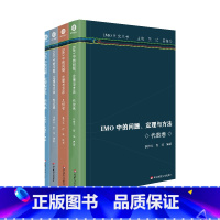 全4册套装 高中通用 [正版]IMO中的问题定理与方法 全4册 IMO研究丛书 组合卷 数论卷 几何卷 代数卷 高中数学