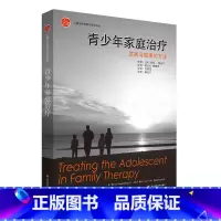 青少年家庭治疗 [正版]青少年家庭治疗 发展与叙事的方法 心理治疗经典与实践丛书 心之源原生家庭共同成长 青春期心理健康