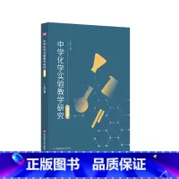 [正版]中学化学实验教学研究 丁伟 中学化学教师教学 化学实验教学案例 华东师范大学出版社