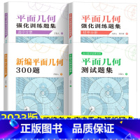 平面几何强化训练+300题(4册) 高中通用 [正版]中科大 初中数学平面几何强化训练题集 初中分册 万喜人解题规律方法