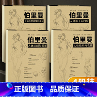 全套4册 [正版]伯里曼人体结构绘画教程描摹本五官表情与手足头部颈部躯干四肢衣褶速写人物美术书籍入门头部五官解剖画册画画