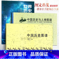 [正版]全3册 世界历史年表+中国历史图谱+中国历史与人物图谱 大事记时间轴华夏民族朝代文明研究编年史帝王政权演变地图