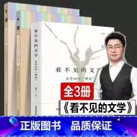 看不见的文学+莎士比亚+基督山伯爵 [正版]全套3册 看不见的文学 文学如何理论 杨宁老师的文学启示课 文学必修课文学