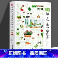 [正版]图解阳台种菜一学会蔬菜水果和香草的种植方法打造自己的专属菜园生菜菠菜胡萝卜庭院种菜手把手打造小菜园 种菜的书籍