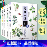 [正版] 每日一学草药1234全4册 曾培杰编著 中医药学本草纲目药材 中医药学书籍中草药方大全中草药自学入门书籍 中