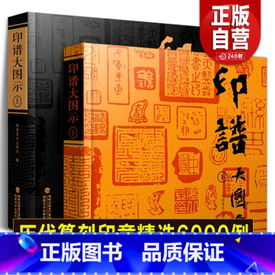 [正版]印谱大图示上下2册 篆刻印谱工具字典书6000余方古今印谱 汉官印/汉私印/道家/印章篆刻字典书籍印临摹工具参