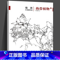 [正版]唯描精选 热带植物4 刘秋阳绘 中国画白描技法技巧当代画家唯美作品临摹参考指导书专业美术欣赏绘画入门零基础初学