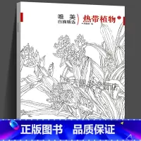 [正版]唯描精选 热带植物3 国画技法解析花卉鸟工笔画册集/勾线画谱底稿素材/初学者美术技法/绘画爱好者临摹图书籍美术