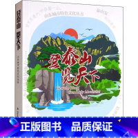 [正版]登泰山览天下 山东城市特色文化丛书滨州卷 城市文化口袋书 旅游书 山东友谊出版社