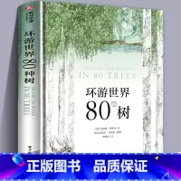 [正版]240页精装版环游世界80种树 6大洲树木种类手绘图与特色档案百科全书知识趣味自然植物进化简史人类文明历史园科