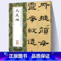 [正版]大尺寸8开史晨碑 中国代表性碑帖临摹范本丛书历代碑帖精粹汉代 汉隶 繁体旁注楷书毛笔书法人民美术出版社孔庙三大