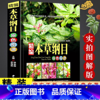 [全3册]精装中医药学彩色图谱 [正版]精装版本草纲目李时珍原版全套中草药彩色图谱本草纲目中草药彩图中医基础理论大全神农