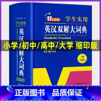 [套装2本]英汉词典+成语大词典 [正版]2024英汉双解大词典中小学生实用多功能英语词典初中高中考英语单词英汉互译大学