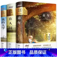 [全3册]高尔基三部曲 [正版]精装无删减 高尔基三部曲全套童年在人间我的大学原著3册全译本初中生阅读世界文学小说名著课