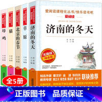 [全套5册]老舍经典作品(北京/济南/猫/母鸡/草原) [正版]全套8册老舍经典作品全集骆驼祥子四世同堂茶馆原著中小学生