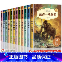 [全12册] 沈石溪动物小说全集 [正版]泣血鲸魂 沈石溪动物小说全集珍藏版十大经典必读小学生阅读课外书籍适合小学三四五