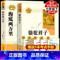 [人教版]骆驼祥子+海底两万里 [正版]骆驼祥子原著老舍著人民教育出版社初中生人教版名著阅读七年级下册初一语文书课外阅读