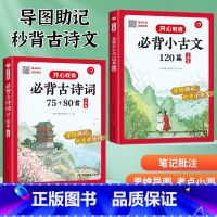 [套装2本]小古文+古诗词(大开本) 小学通用 [正版]2024年小学生必背文言文古诗词75十80首彩色注音版全国通用人