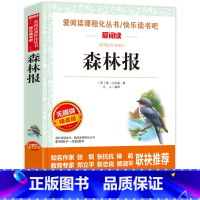 森林报 [正版]森林报四年级下册春夏秋冬合订本比安基原著名师导读带批注无障碍精读版儿童小学生版三四五六年级上册下册通用立