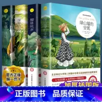 [4册]绿山墙+柳林风声+绿野仙踪+木偶奇遇记 [正版]绿山墙的安妮原著全集蒙哥马利小学生三四五六年级阅读必读课外书上下