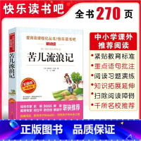 苦儿流浪记 [正版]苦儿流浪记小学生四五六年级课外书必读班主任 阅读人教版天地出版社人民文学的原版图书语文书目四年级