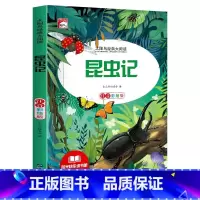 昆虫记 [正版]昆虫记法布尔原著完整版法布尔著全集小学生三四年级下册课外书必读美绘版人民儿童文学教育阅读书籍山东美术出版