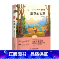 愿望的实现 [正版]愿望的实现 彩图注音版一二三年级课外阅读书世界经典儿童文学少儿名著童话故事书 快乐读书吧书目老师课外