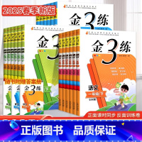 [3本套装]语文+数学+英语 一年级下 [正版]2025春金3练金三练二年级上册二三年级上下册四年级真题卷五年级六语文数