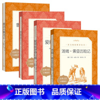 [全套4册]鲁滨孙+骑鹅+爱丽丝+汤姆索亚 [正版]汤姆索亚历险记 六年级下册快乐读书吧 人民文学出版社原著完整版 小学