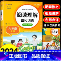 阅读理解强化训练上册+下册 六年级上 [正版]2024小学语文阅读理解专项训练书人教版六年级上册下册课外阅读强化训练题每