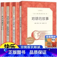 [全套4册]四年级下册必读 [正版]森林报比安基著沈念驹译四年级下册必读的课外书快乐读书吧阅读森林报春夏秋冬合订本