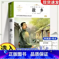 故乡 [正版]故乡 鲁迅原著 六年级课外阅读书籍老师 小学生3-4-6年级 鲁迅的故乡散文作品集书籍 6-9-12-15