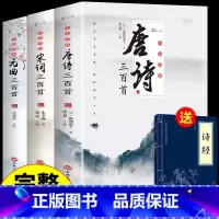[全3册]唐诗+宋词+元曲 [正版]全3册 唐诗三百首唐诗宋词元曲全集古诗词大全集书全 高中生用鉴赏赏析诗词大会书籍全套