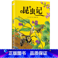 昆虫记 [正版]昆虫记彩图注音版一二三年级必课外阅读书儿童科普读物故事书大语文老师小学生经典书目带拼音的上下册书籍