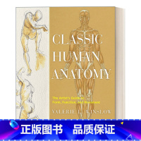 经典人体解剖学 精装 [正版]凯的解剖学 人体指南完整版 英文原版 Kay s Anatomy A Complete G