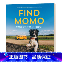 让我们找到莫莫2 [正版]英文原版 Let's Find Momo! 让我们找到莫莫3 狗狗摄影书 寻找莫莫 英文版 进