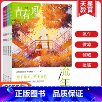 青春风-4册套装 全国适用 [正版]天星教育新版疯狂阅读青春风特辑流年+微凉+倾城+迷蝶全套4册任选中学生课外阅读成长故