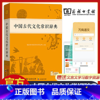 文言文学习辞典(套装版) [正版]中国古代文化常识辞典 新版古汉语常用字字典汉语词典中小学生学习古汉语字典工具书辞典文