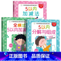 全套3册 [正版]5以内加减法练习册分解与组成 五以内的幼小衔接应用题口算题卡卡片教具幼儿园口算天天练数学幼儿加法减法计